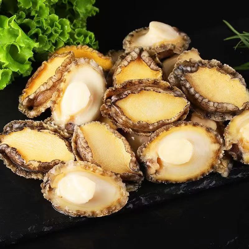 哆头杰推荐鲍鱼肉