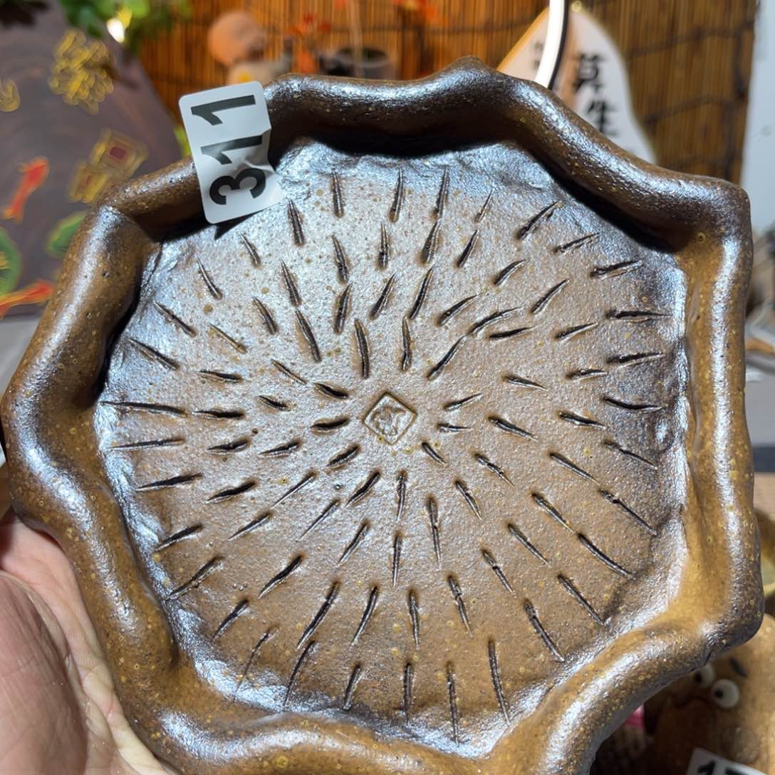 木村信弘柴烧保平