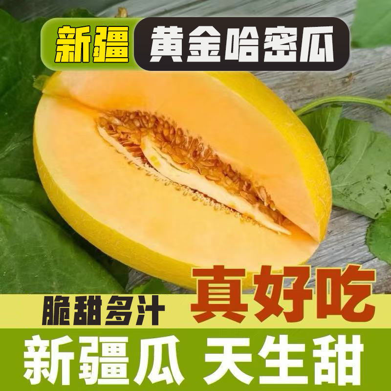【专属】新疆黄金哈密瓜金色年华网纹蜜瓜脆甜多汁应季新鲜水果