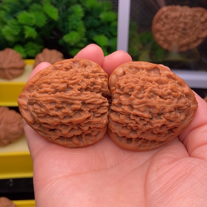 三角疆43精配111111111