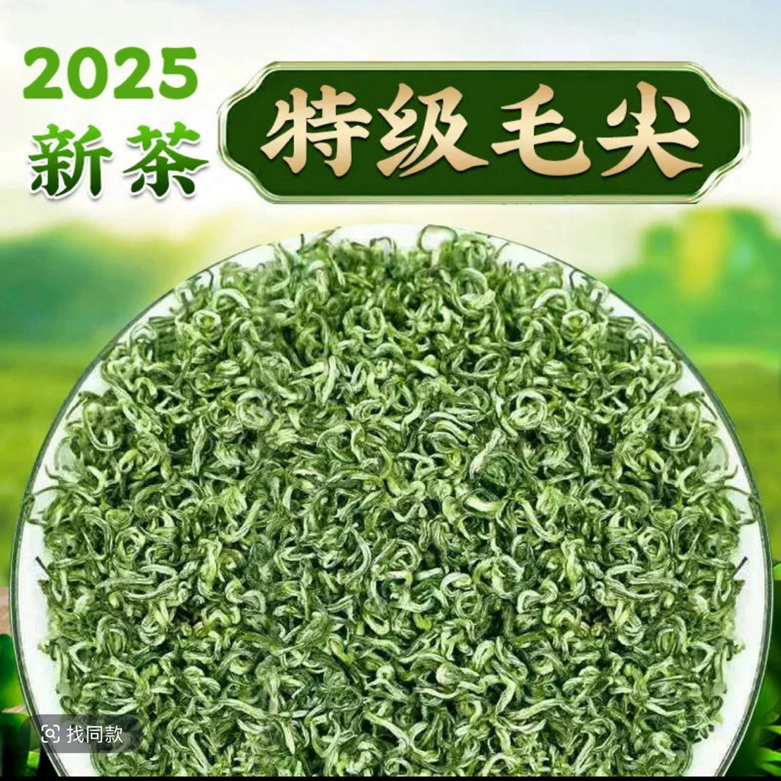 （手工毛尖茶）2025明前手工毛尖茶高山云雾手工绿茶包好喝