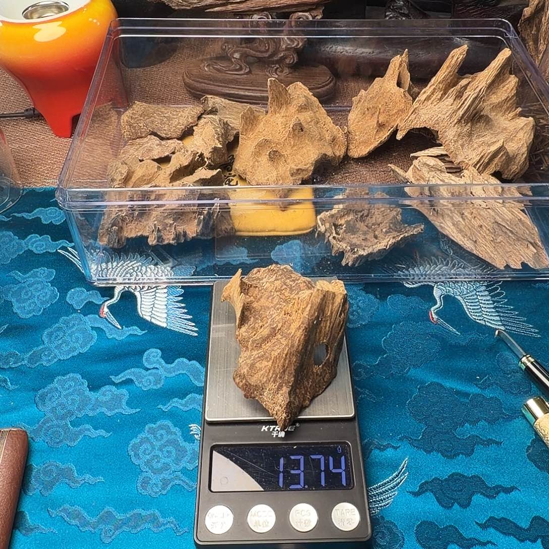 沉香13.74g 芽庄吊口