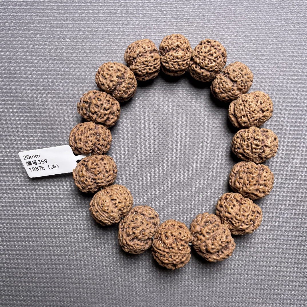 20mm五星针孔蜂王（头）编号359 金刚菩提手串