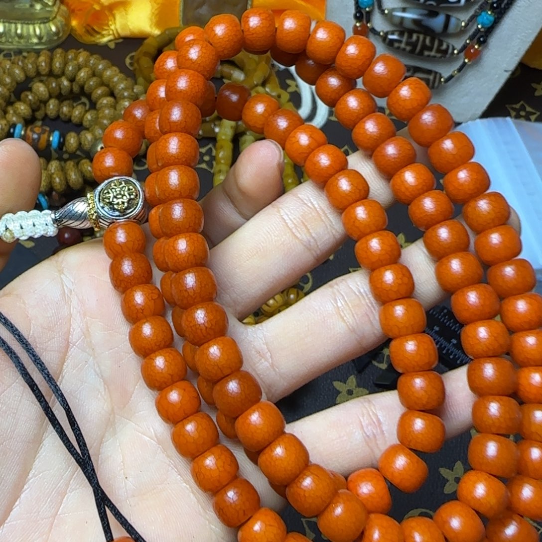 吊坠菩提根/象牙果