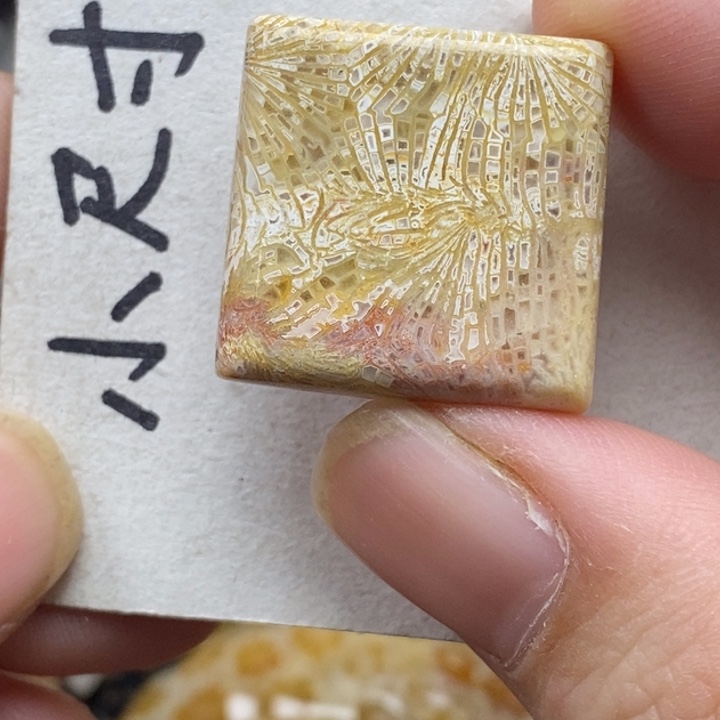 硅化珊瑚（珊瑚玉）未镶嵌颈饰