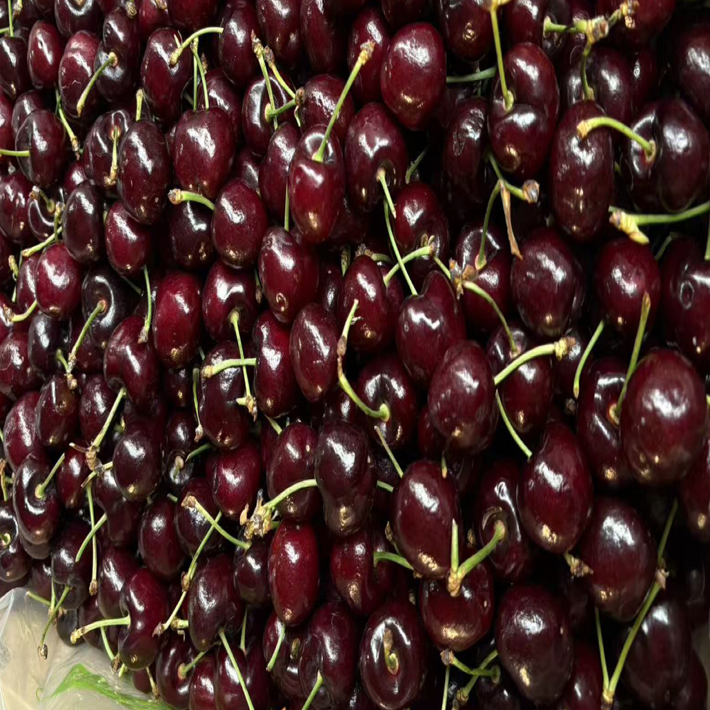 海运智利车厘子JJD整件约2500g五斤斤装，内附果径卡智利