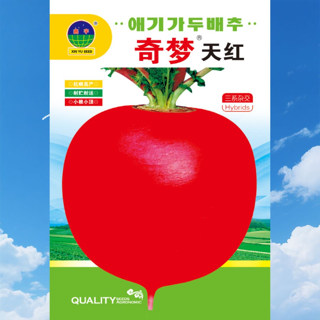 奇梦天红萝卜种子