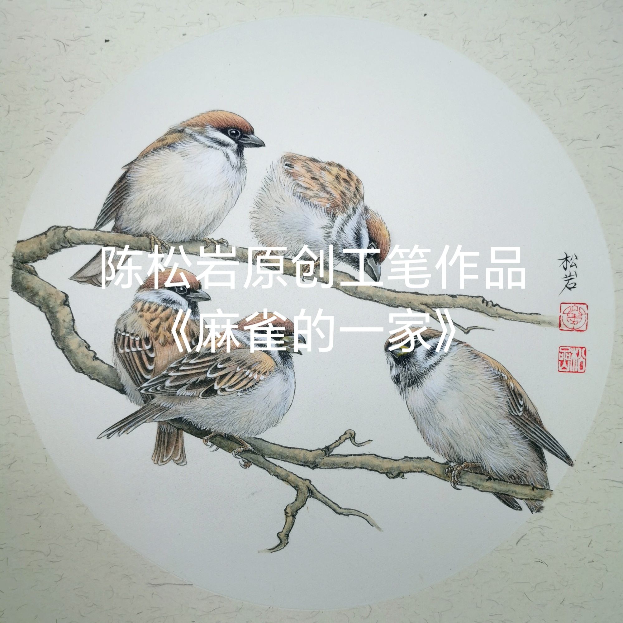 《麻雀的一家》工笔视频课 共14讲  陈松岩原创工笔课