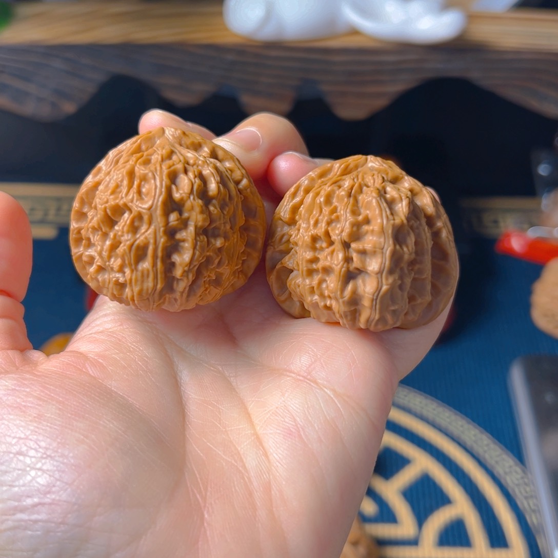 文玩核桃把件白狮子