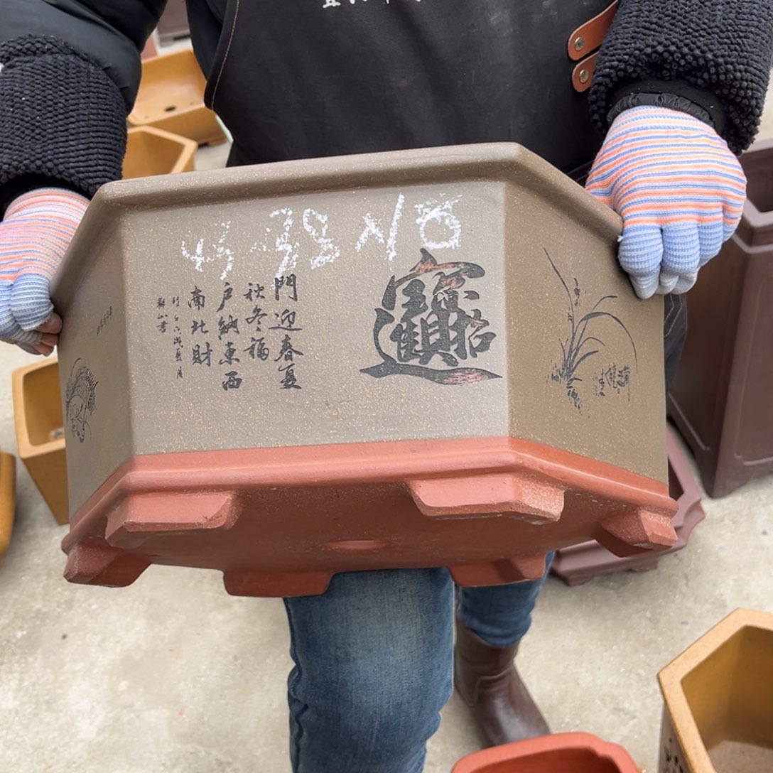 紫砂花盆盆景艺术