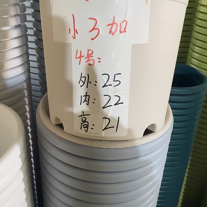 四季4号灰白带托10套