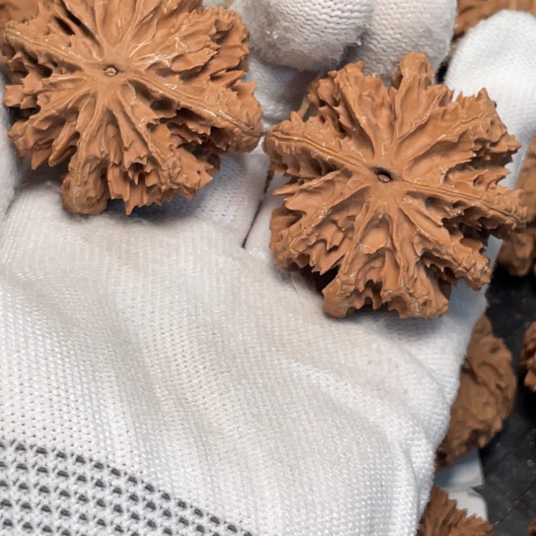 凉***者吊坠桃核11 秦岭灯笼野生小众