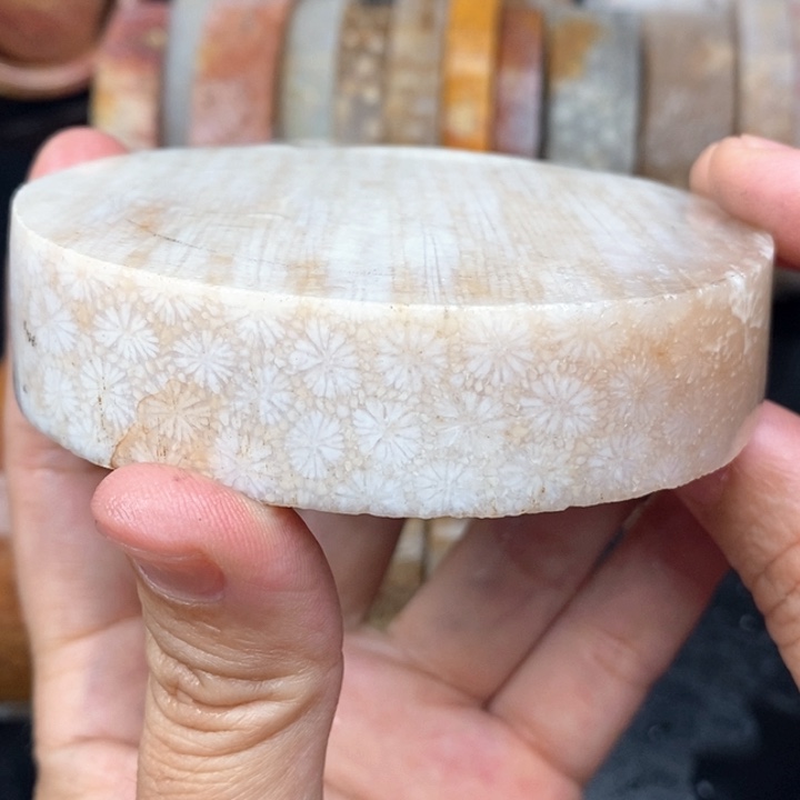 硅化珊瑚（珊瑚玉）手镯未镶嵌