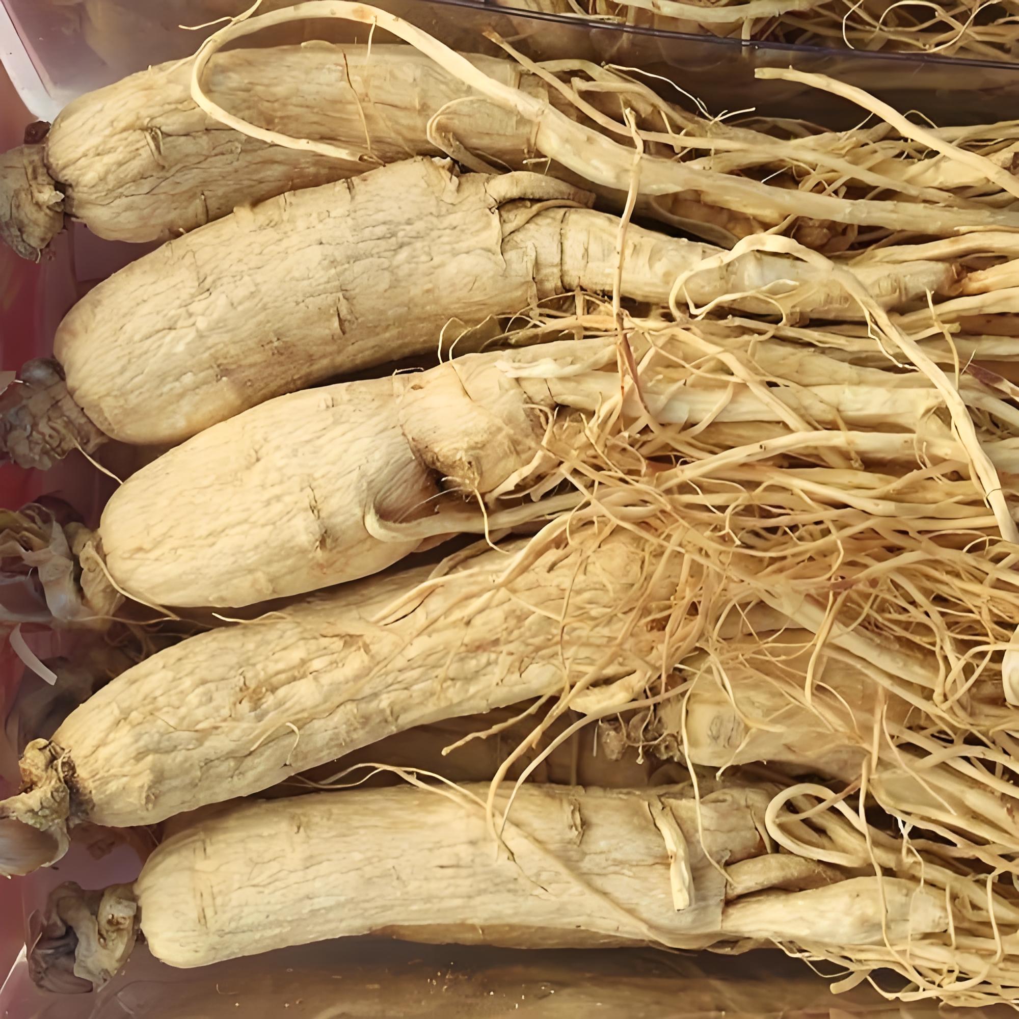 精选人参干条全支