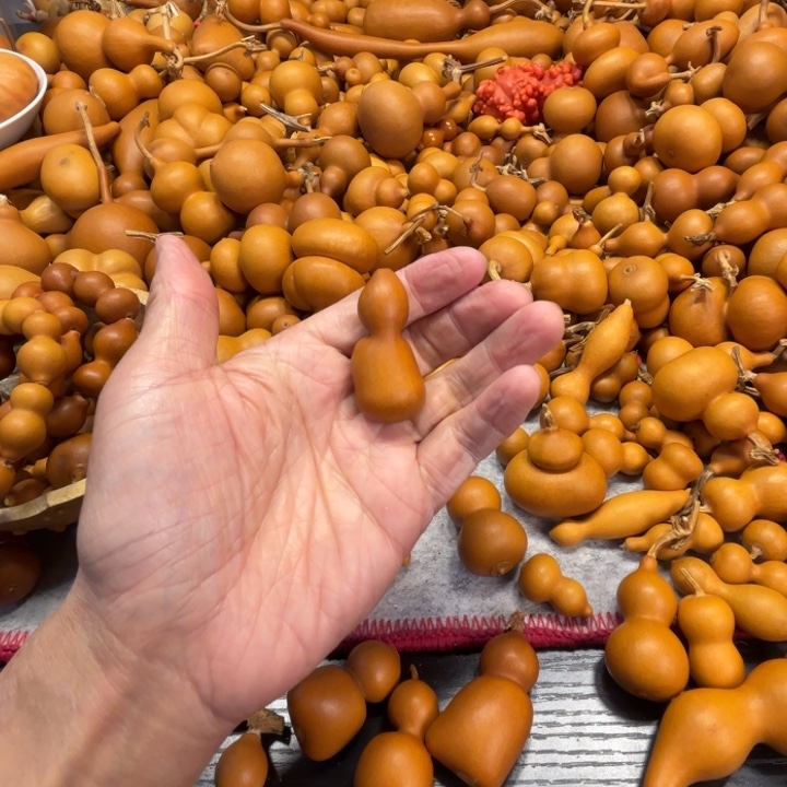 小**?小迷糊小迷糊的一把钱袋子葫芦