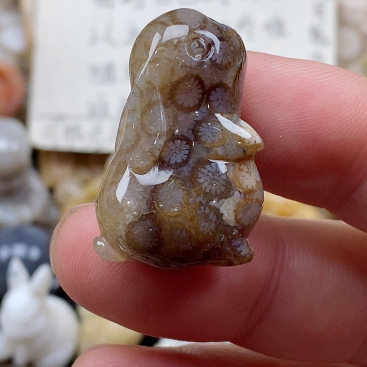 颈饰未镶嵌硅化珊瑚（珊瑚玉）小