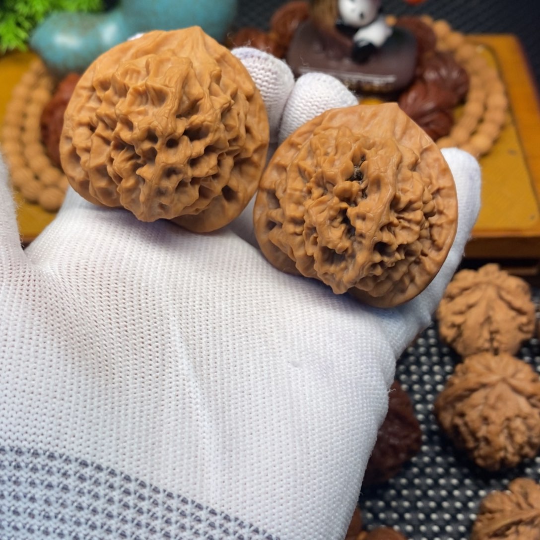 A***生核桃秦岭山地核桃龙鳞官帽