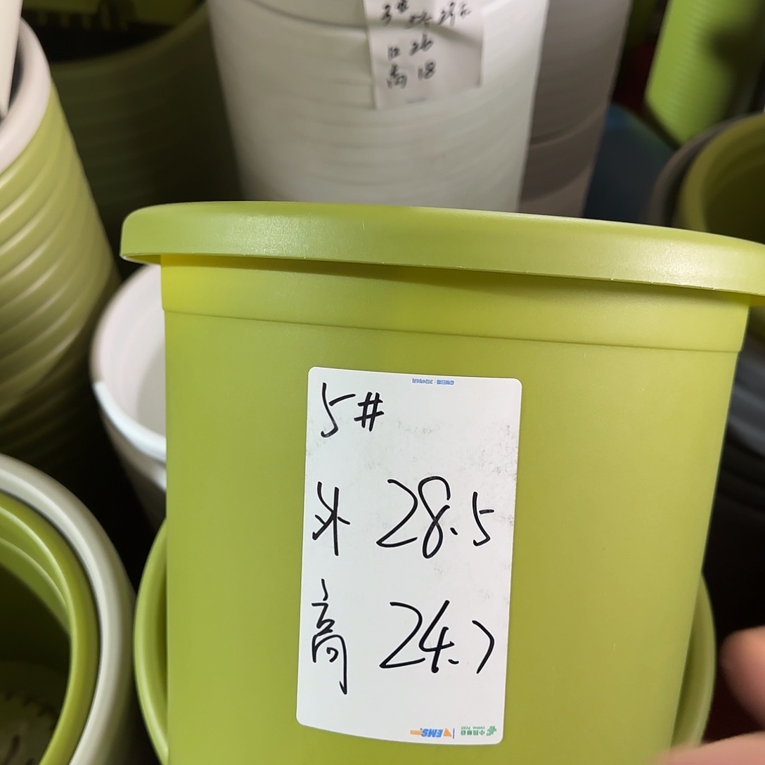 树脂四季5号无托3个果绿
