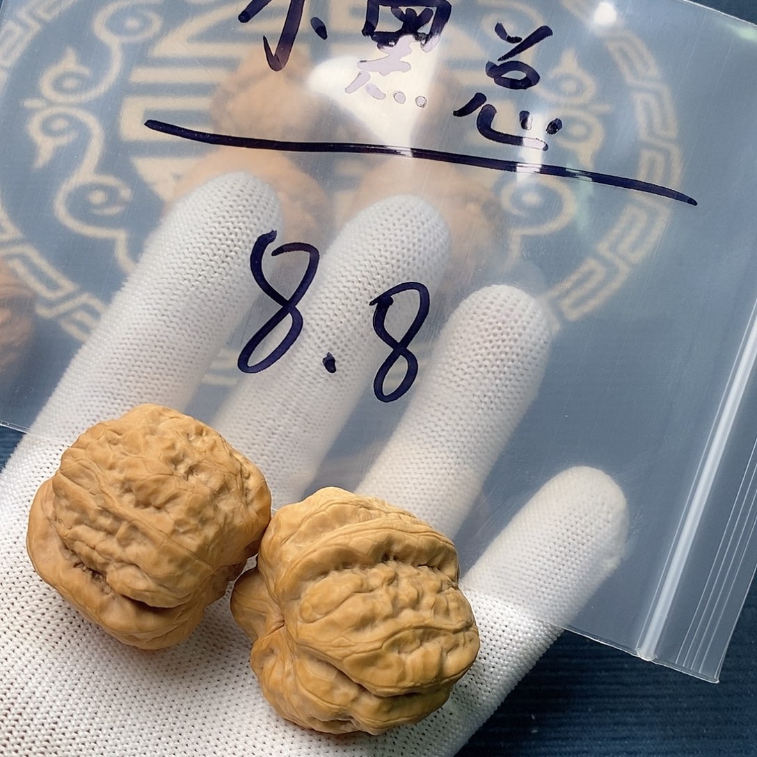 蛤蟆头696589989888