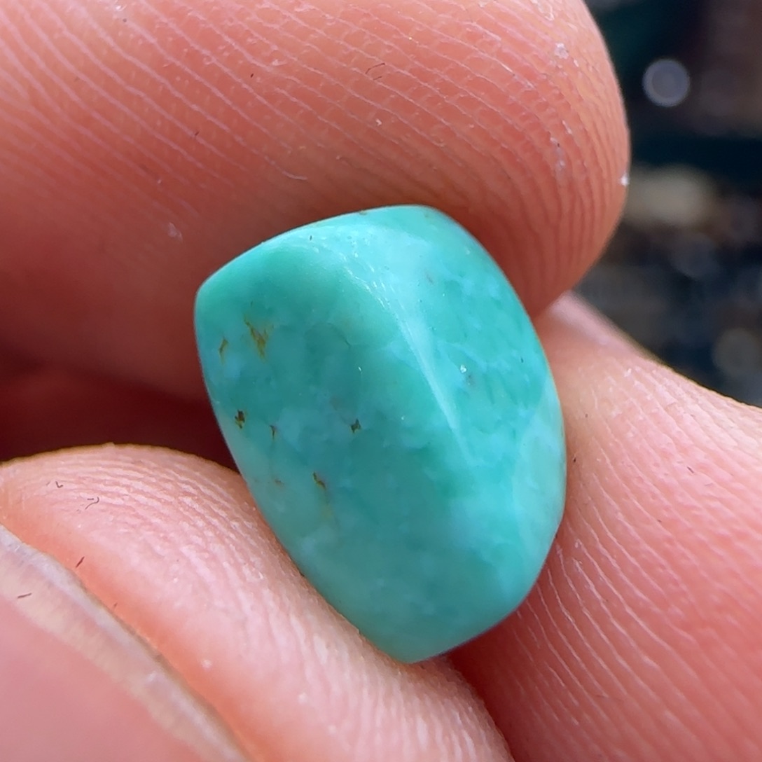 无非金属chvjvjvjvjvjvjjv