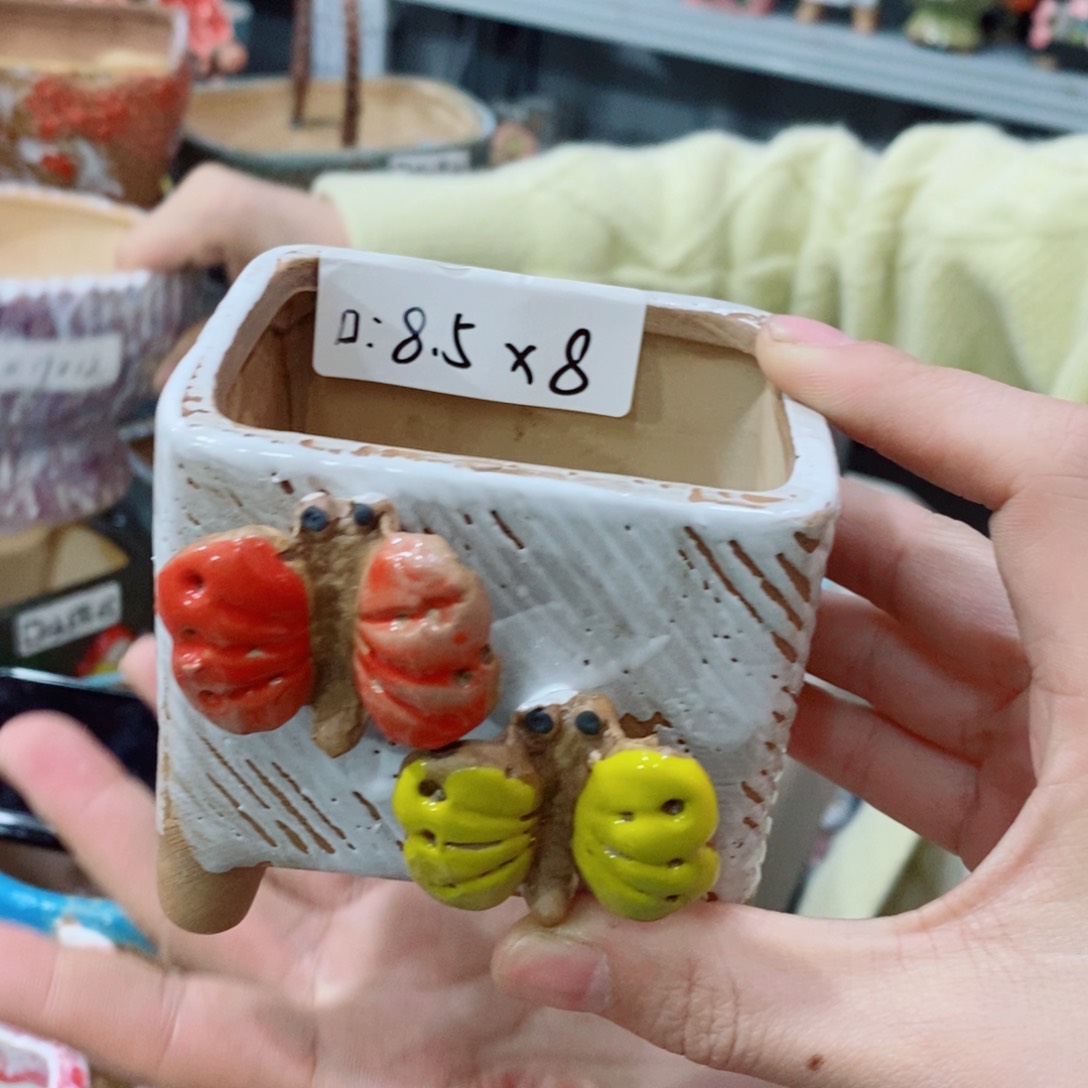 红陶福利福利福利