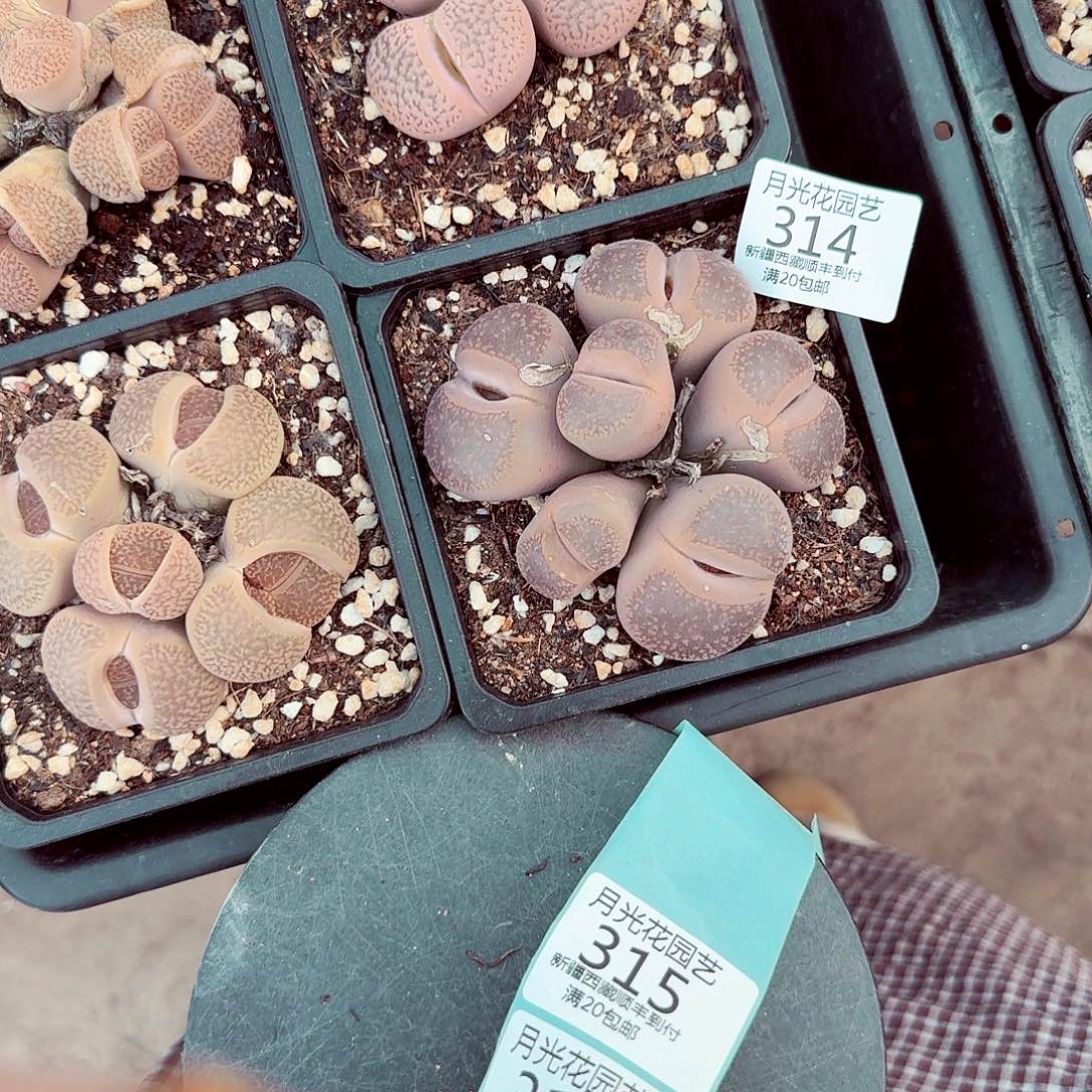 你也快回来吃饭哦我的314