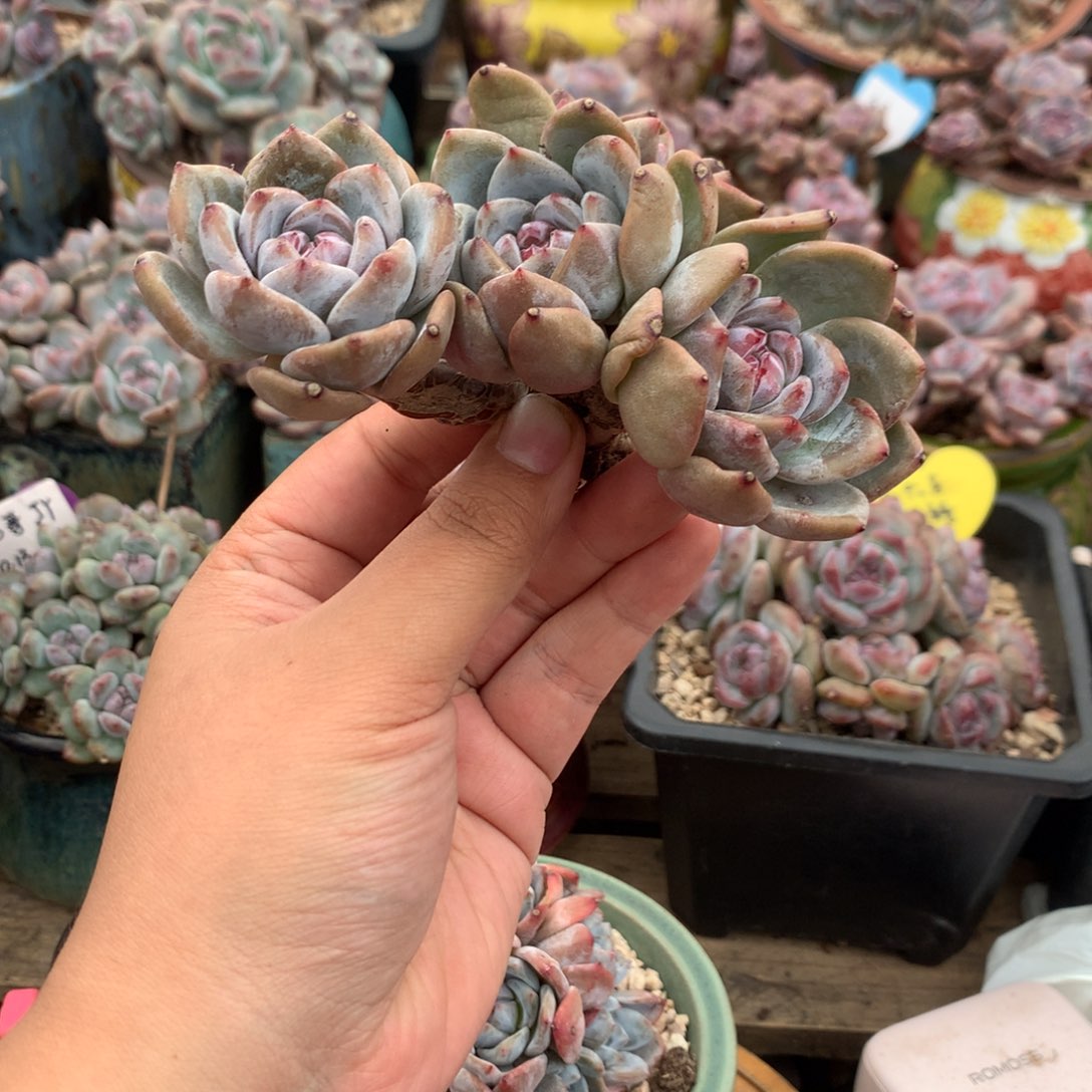 哈哈哈哈哈哈哈哈哈