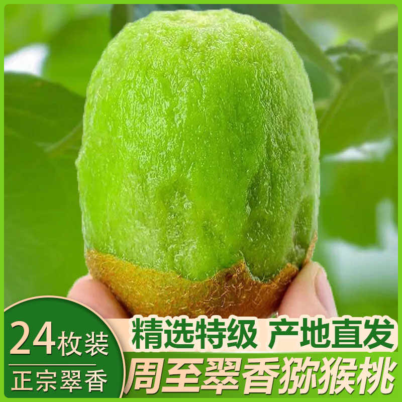 正宗翠香绿心猕猴桃新鲜应季水果香甜多汁整箱顺丰包邮