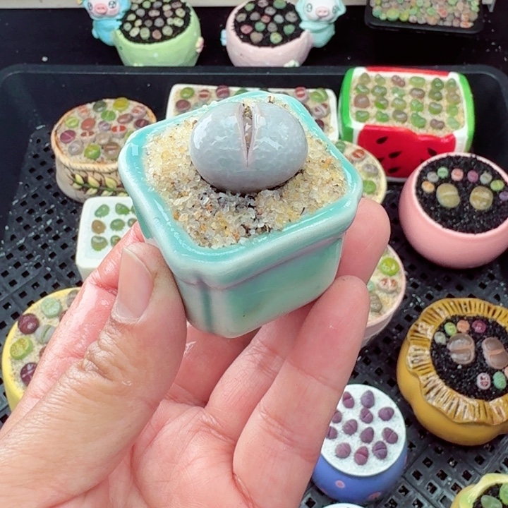 318零下地区记得拍保温箱满18包邮