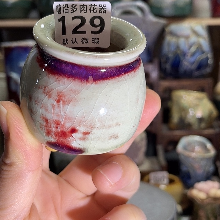 狼盆内口径3高度5