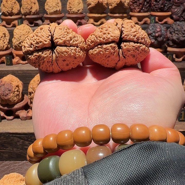 颢***轩核桃吞海龙脊46尺云铁精品