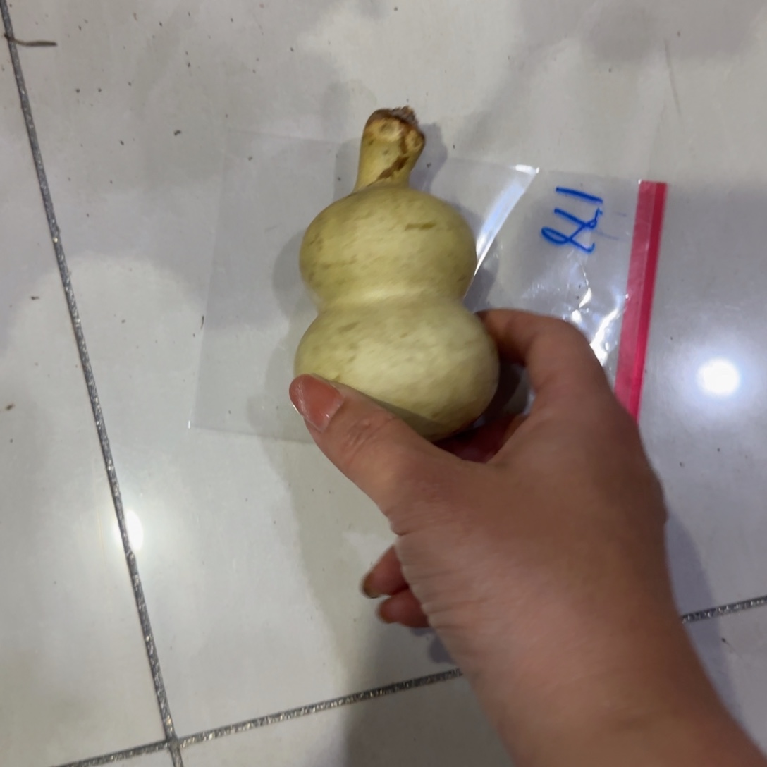 K***K葫芦乐乐粒磨损率咯OK乐乐