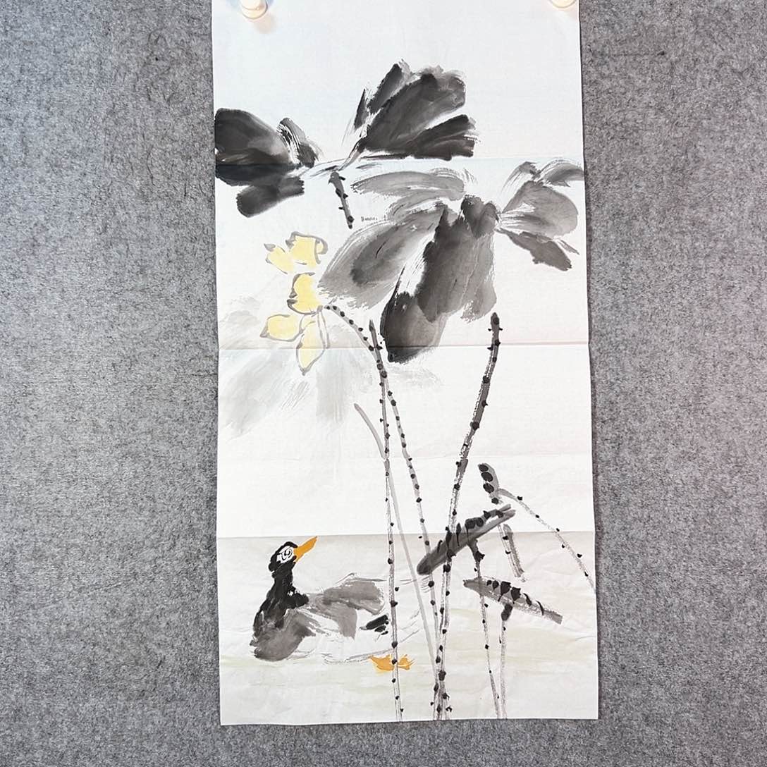 国画203 牡丹花等花品种在世界