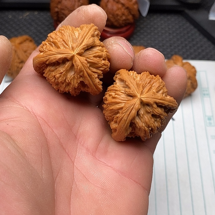 洋***洋把件核桃拼接白狮子5