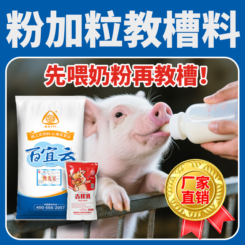 百宜云教槽料教乳宝粉加粒小猪开口饲料内含猪奶粉母猪奶水少可用