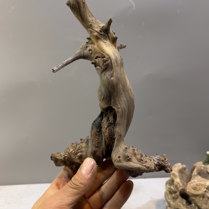 空***白崖柏陈化瘤雕刻坨坨