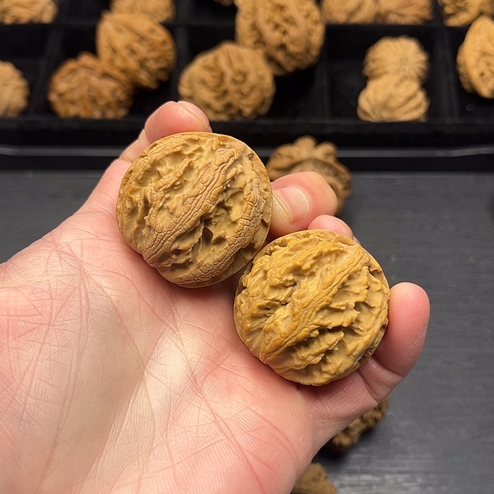 木质类突突突突突突突突突