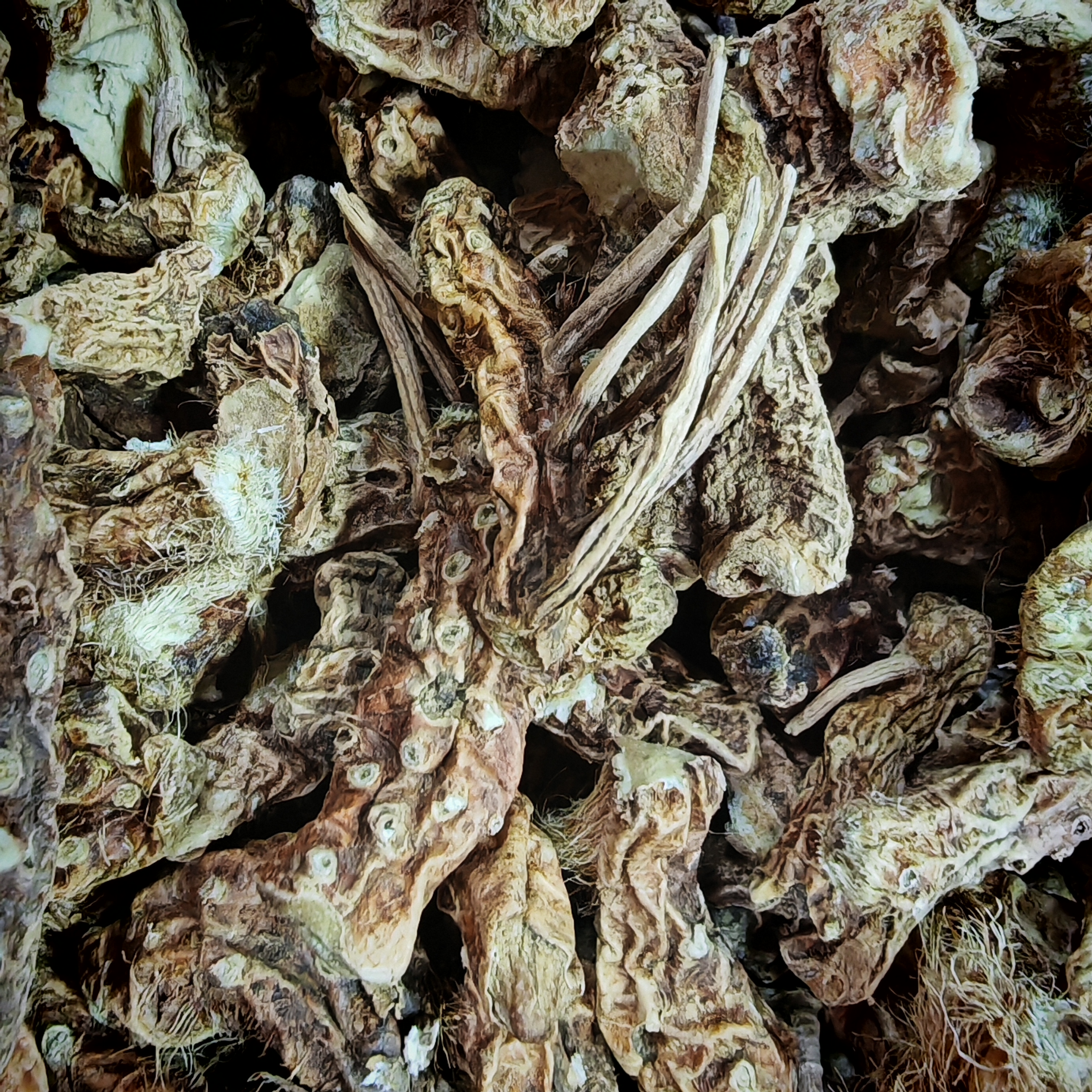 【周生专属】太白山 荒野 穿山龙 250克 拍一发六