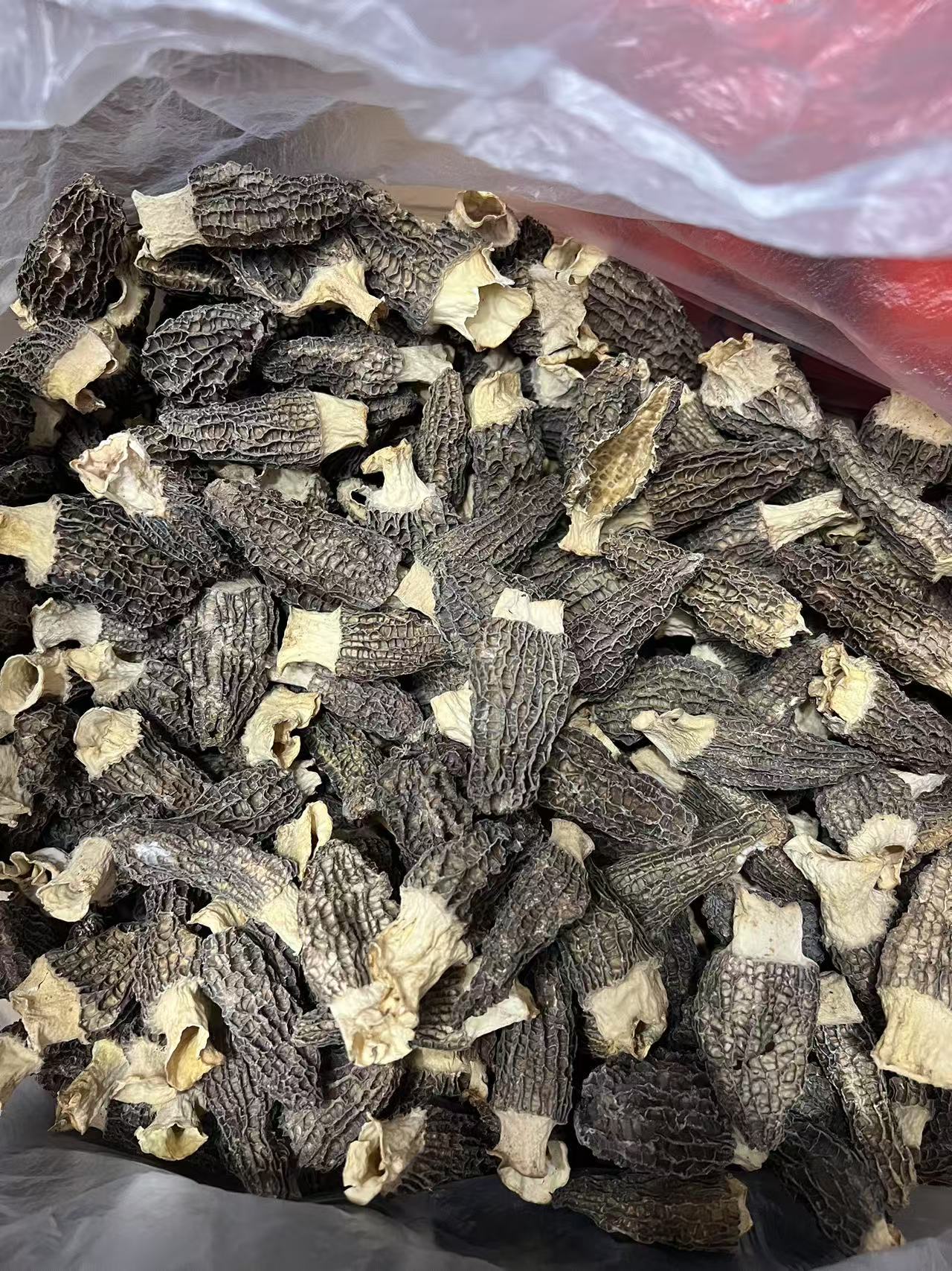 丑羊肚菌 头茬 新货 肉厚 性价比款 云南野长不好看介意慎拍