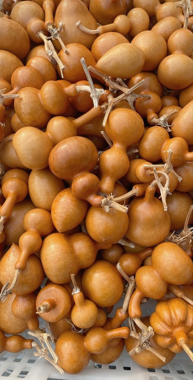 手把件盘玩文玩带龙头手捻福禄葫芦优选自家手盘种植小葫芦