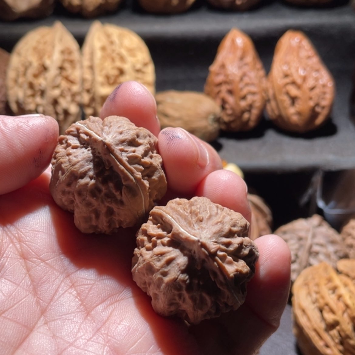 【闪购商品】文玩核桃把件东北秋子79