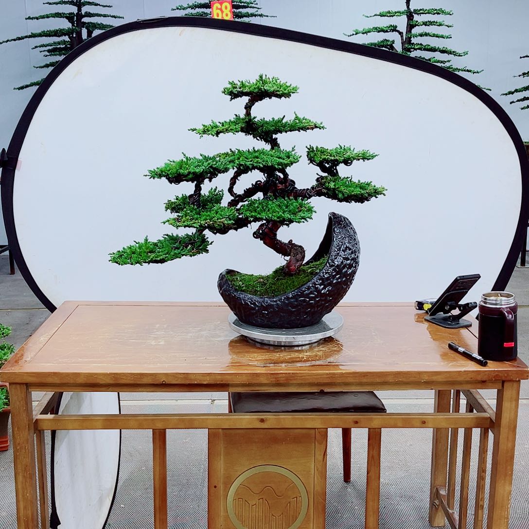 优***新无花朵直播间一物一拍