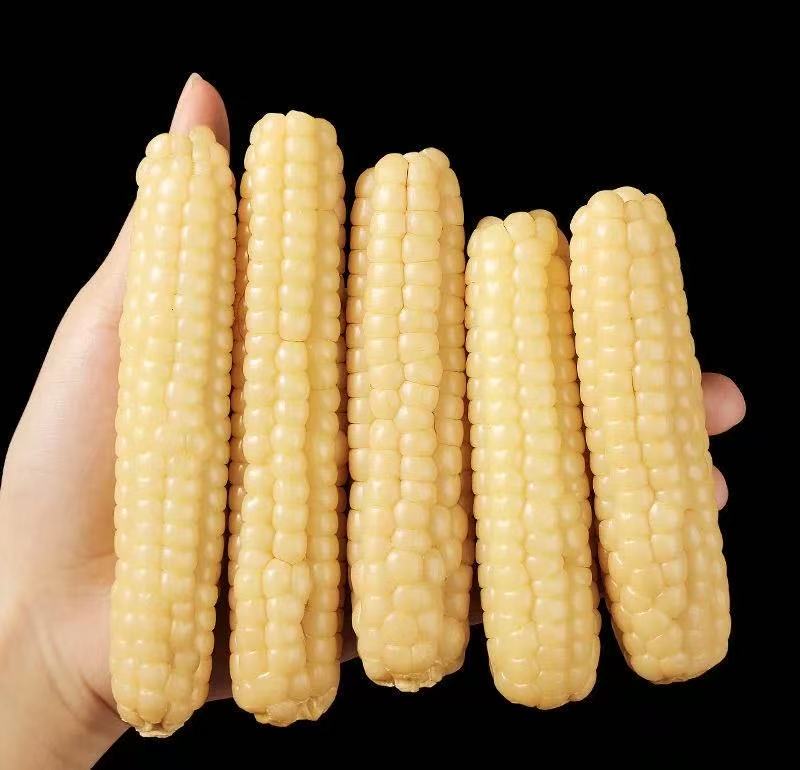 【精品大果】西双版纳拇指玉米香甜软糯粗粮宝宝小玉米新鲜真空早餐