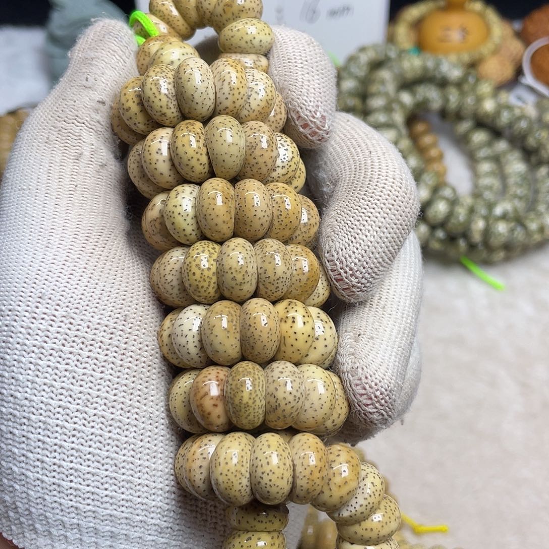 吊坠星月菩提13尺寸，老陈籽，带备籽