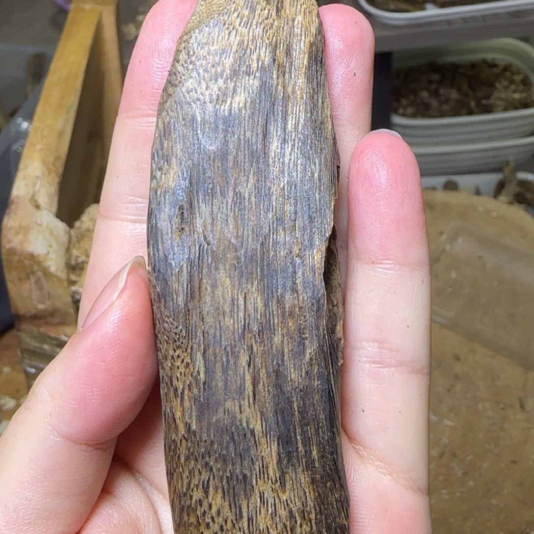 沉香蓝宝石手把件原料发一份