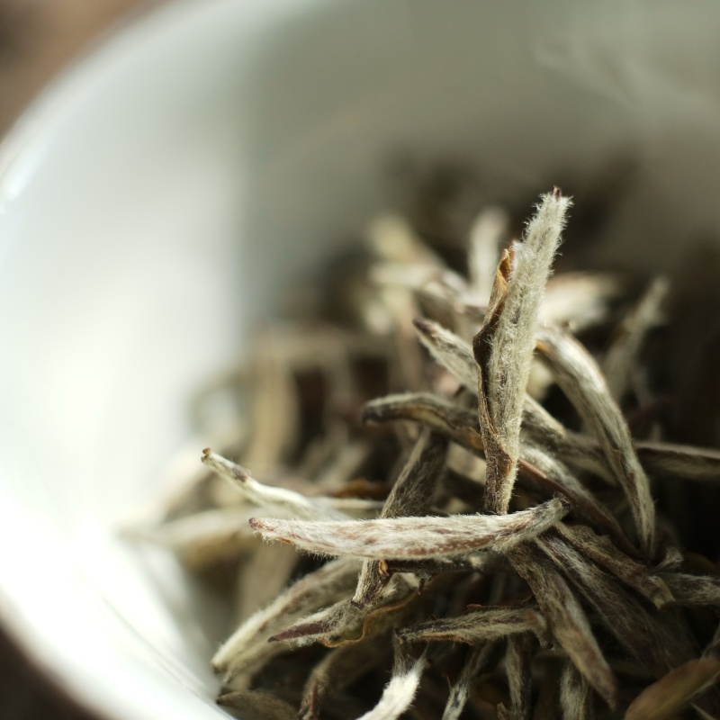 云绅茶事2021年福鼎白茶高山特级荒野银针小米针罐装50g