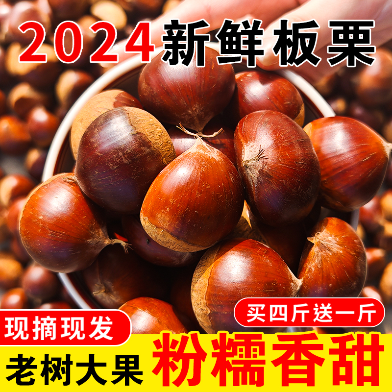 【精选中果】东北老品种大板栗（四斤送一斤）到手五斤