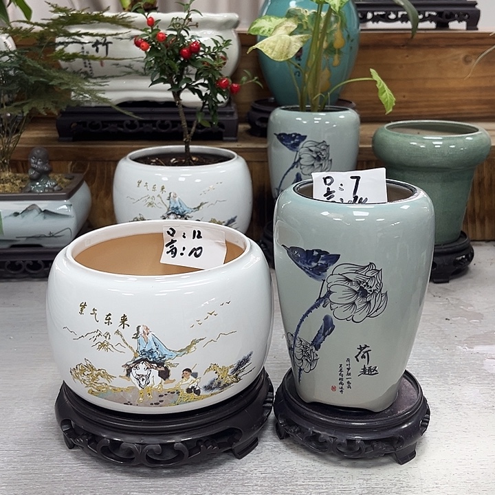 陶瓷花盆抢购福利活动