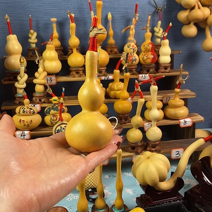 Z***鱼开播的时候我也是醉