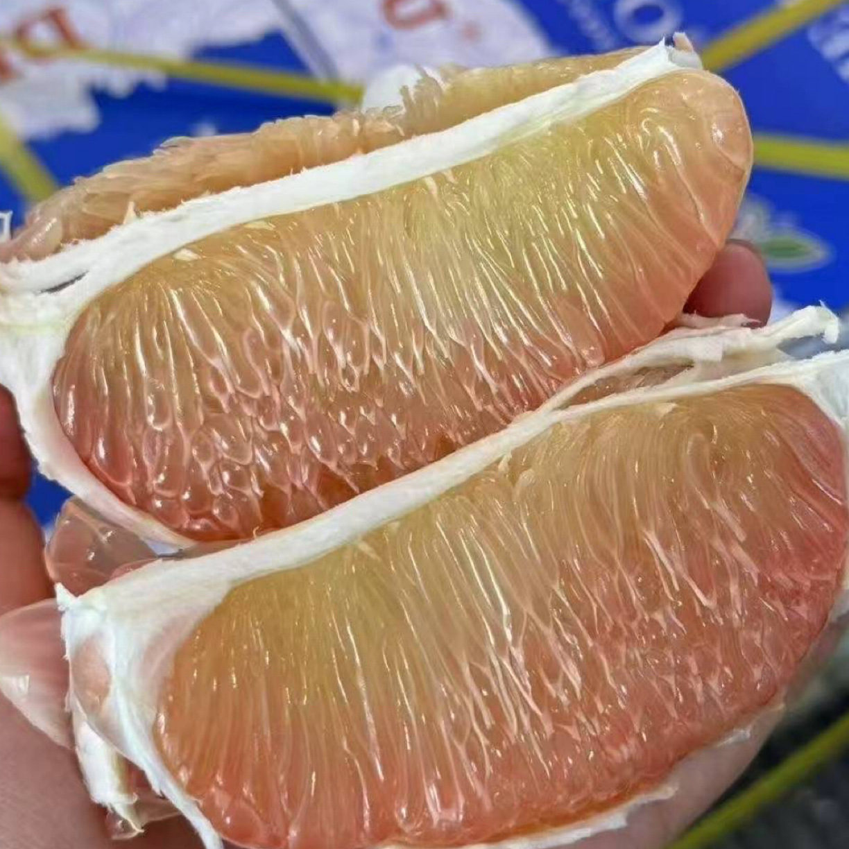 泰国翡翠青柚柚子
